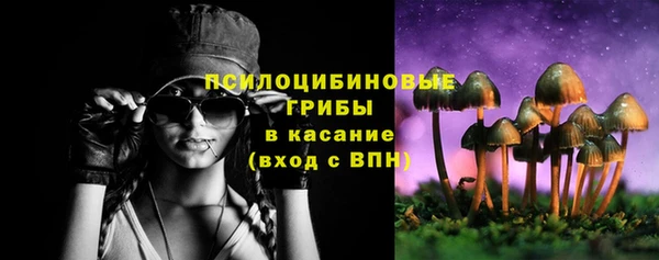 прущая мука Богданович