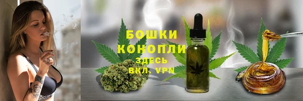 прущая мука Богданович