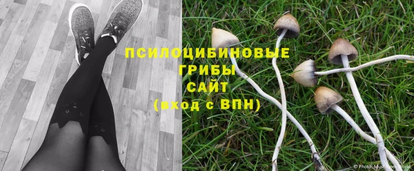 кокаин Богородицк
