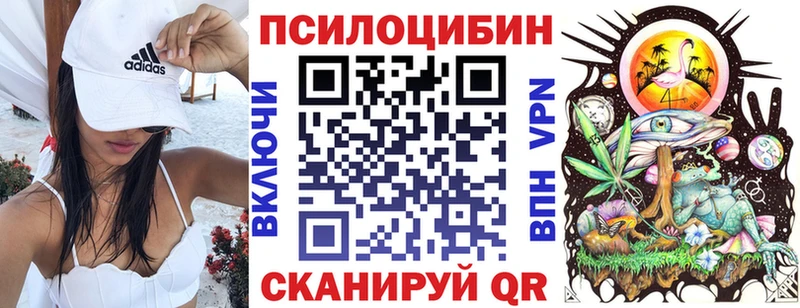 кракен   Сибай  Галлюциногенные грибы Psilocybe 